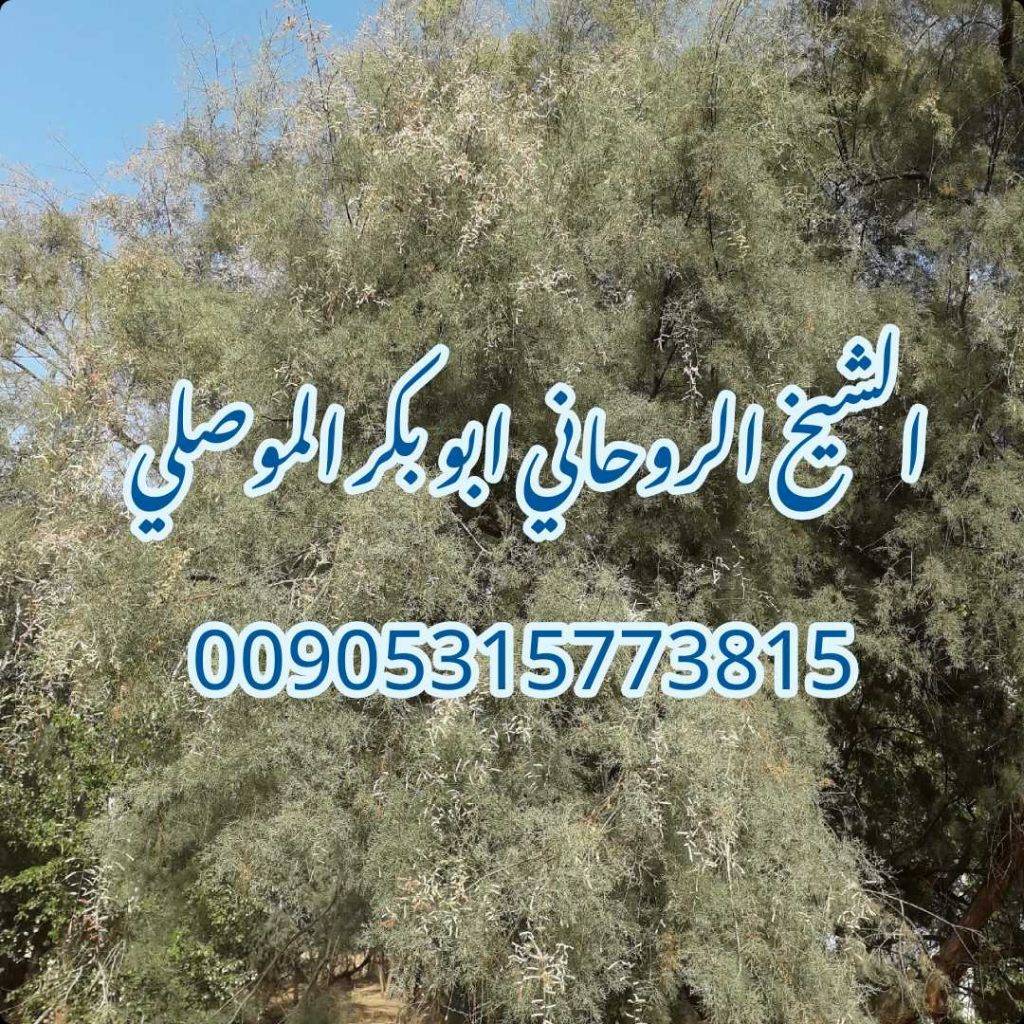 ابغى اقوى شيخ معالج روحاني الشيخ ابو بكر الموصلي